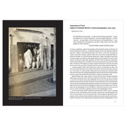 Tate Dialogues: Expressionists companion book